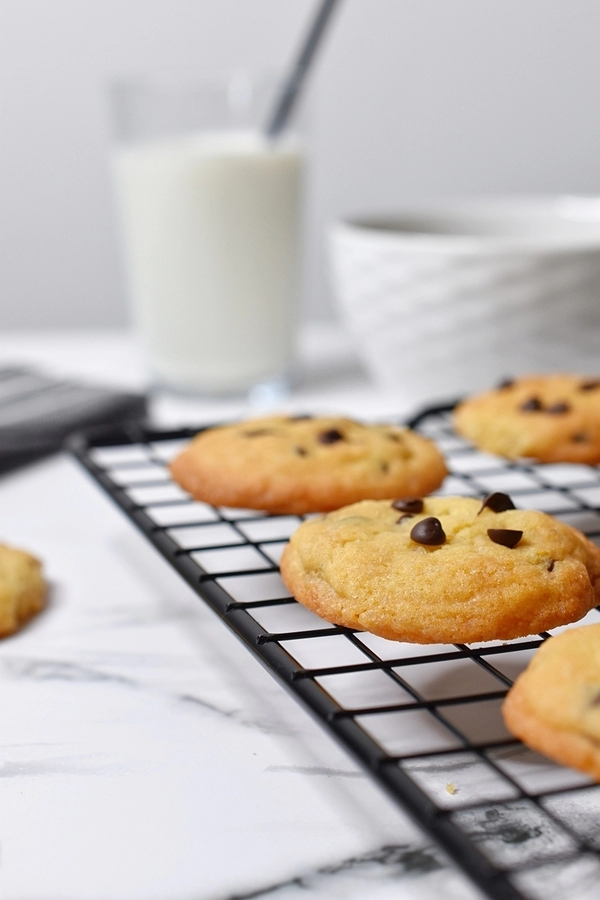 pred vami je recept za slastne ameriske piskote (cookies) z brusnicami s hrustljavo skorjico in mehko sredico 