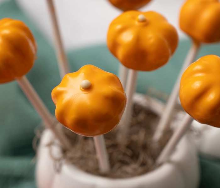 cake pops bucke